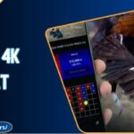 Đá Gà 4K Kubet - Cá Cược Sắc Nét, Thắng Dễ Dàng Hơn