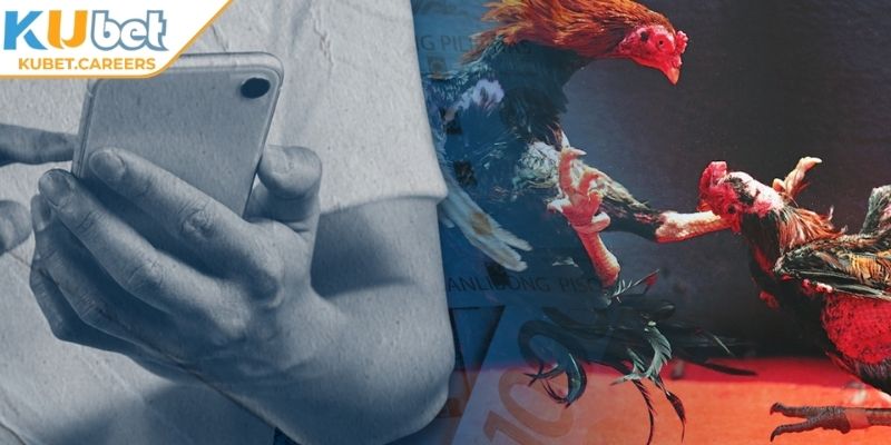 Giao diện đá gà 4F Kubet tối ưu