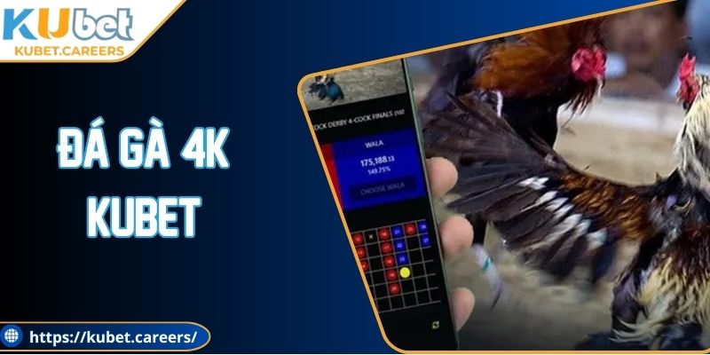 Đá Gà 4K Kubet - Cá Cược Sắc Nét, Thắng Dễ Dàng Hơn