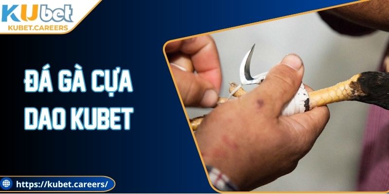 Đá Gà Cựa Dao Kubet - Trải Nghiệm Giải Trí Đỉnh Cao