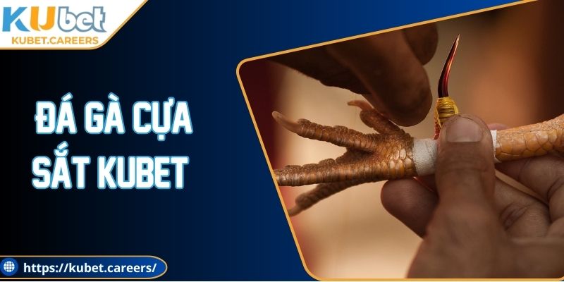 Đá Gà Cựa Sắt Kubet - Sảnh Đấu Kịch Tính Và Hấp Dẫn