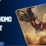 Đá Gà Thomo Kubet - Cá Cược Dễ Thắng, Xem Cực Đã