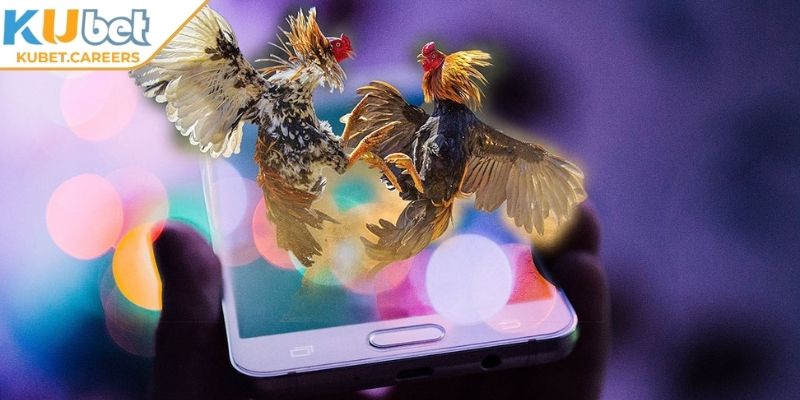 Tổng hợp ưu điểm của sảnh đá gà trực tiếp Kubet