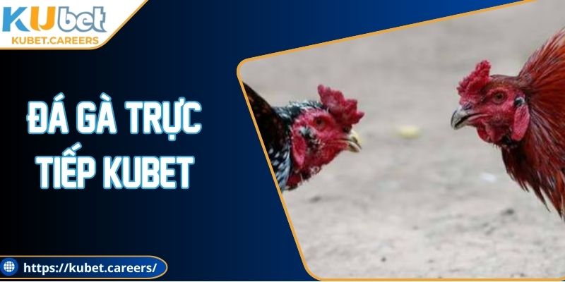 Đá Gà Trực Tiếp Kubet - Hấp Dẫn, Minh Bạch, Dễ Chơi