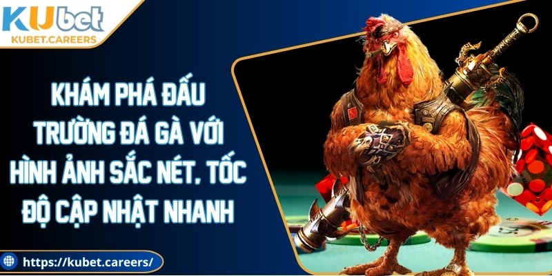 Khám phá đấu trường đá gà với hình ảnh sắc nét, tốc độ cập nhật nhanh